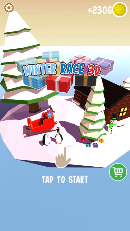 Winter Race 3D