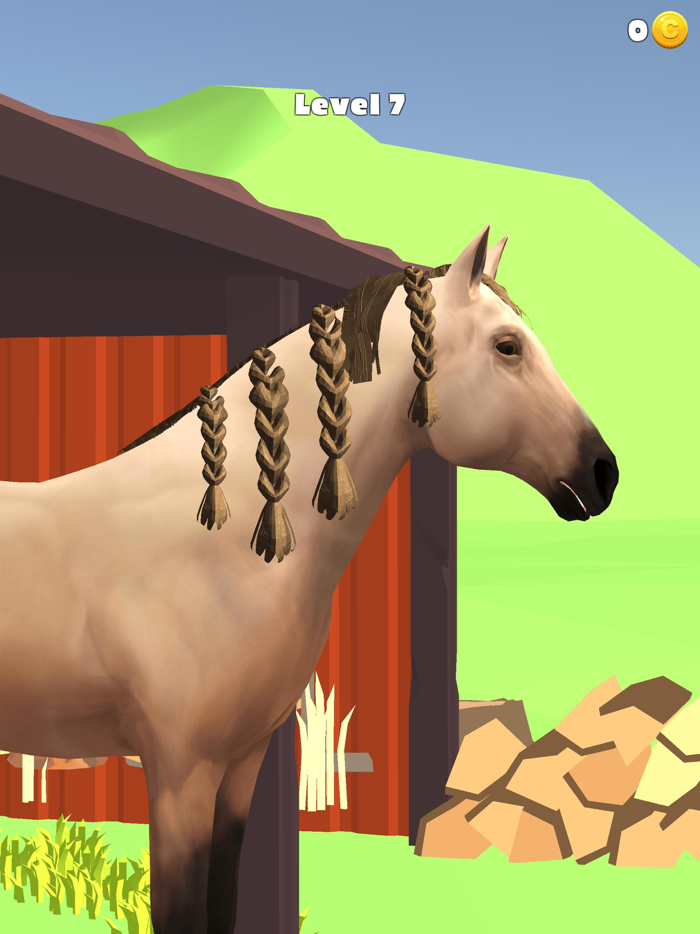 Horse Care 3D