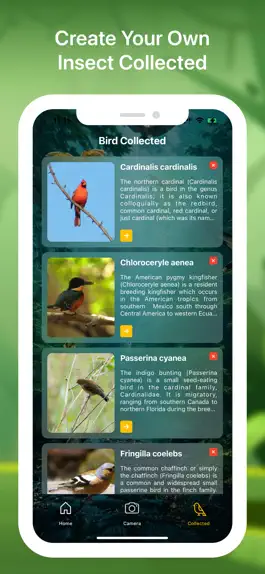 Game screenshot Bird identifier Bird Finder hack