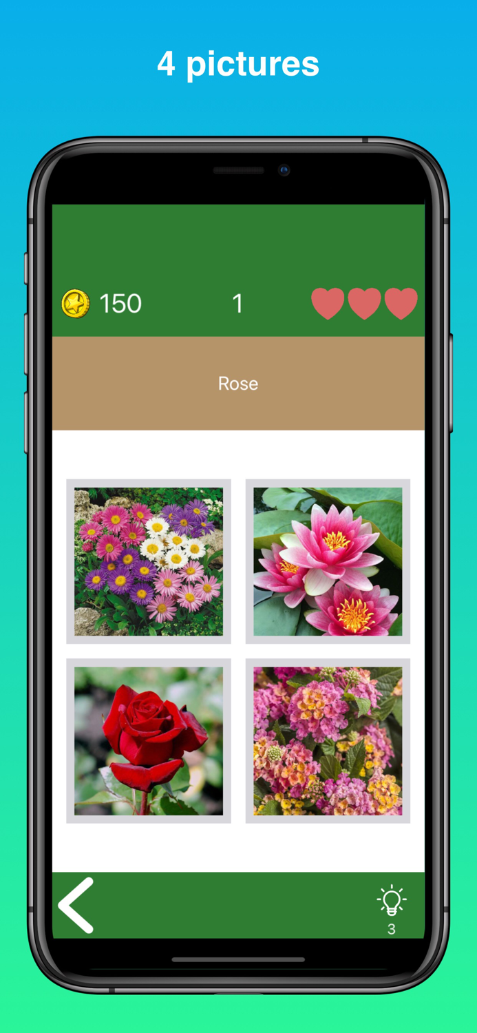 Quiz Flowers guess one answer