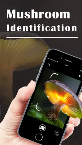 Game screenshot Mushroom Identifier ‣ mod apk
