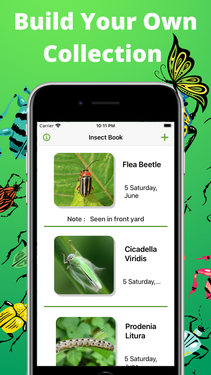 Bug identifier - Spider, Worm
