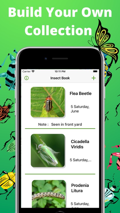 Bug identifier - Spider, Worm