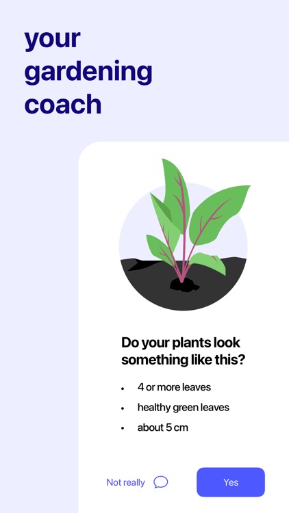 Planty Gardening