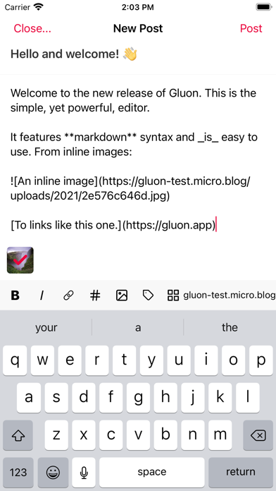Gluon for Micro.blog screenshot 4