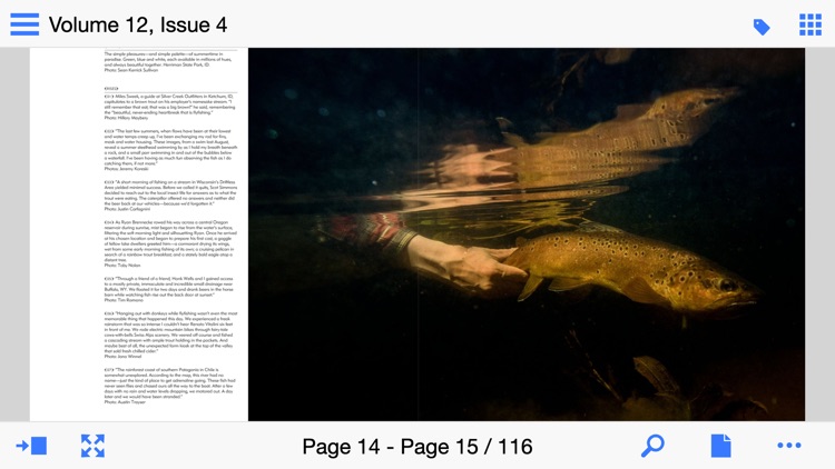 The Flyfish Journal