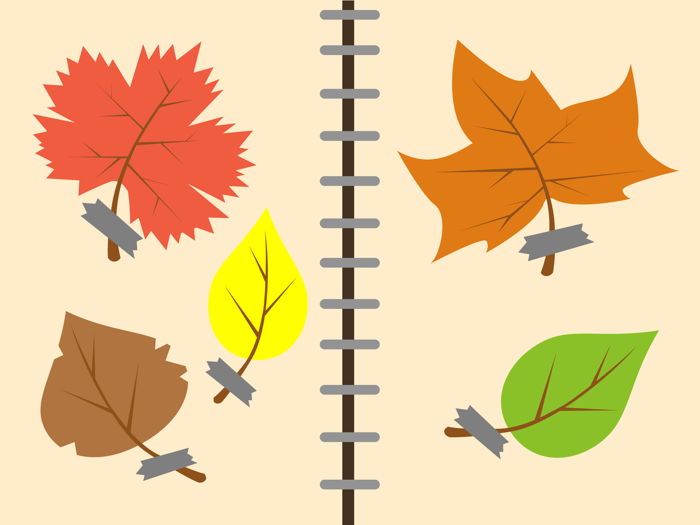 Forest Camp. Tourist vacation