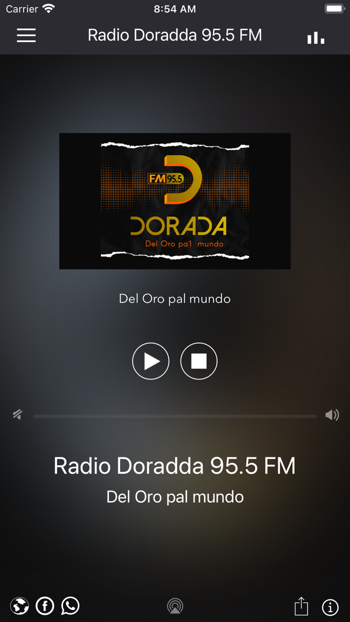Radio Dorada 95.5 FM