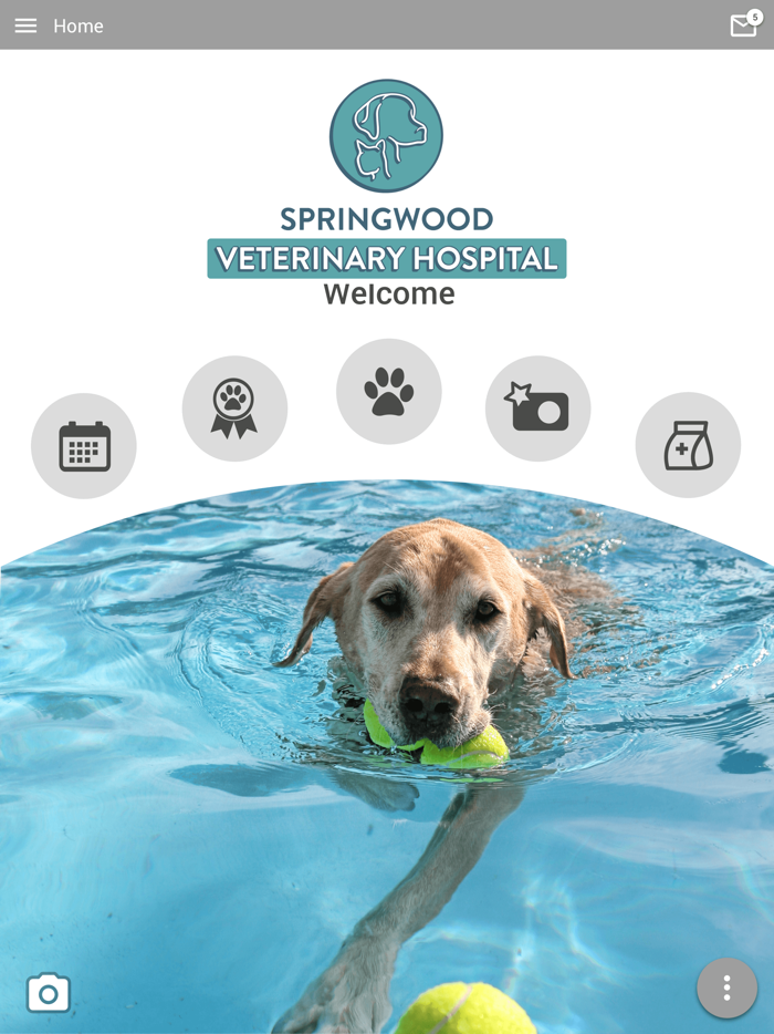 Springwood Vet Hospital