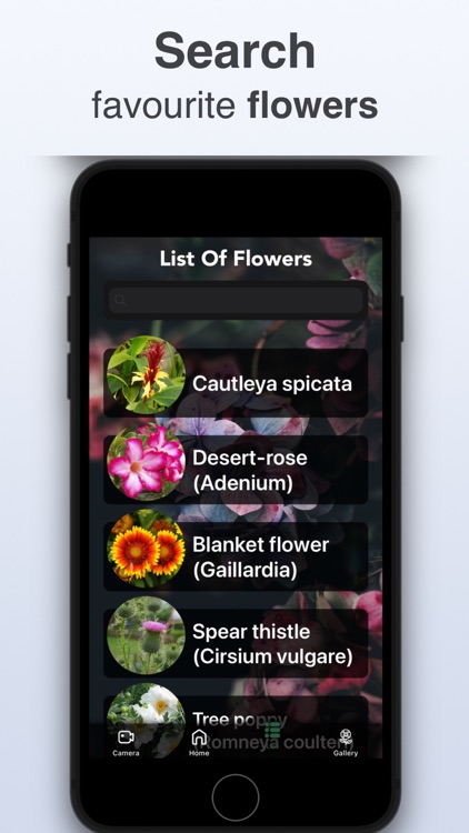 Plant Identifier - Scan Flower screenshot-5