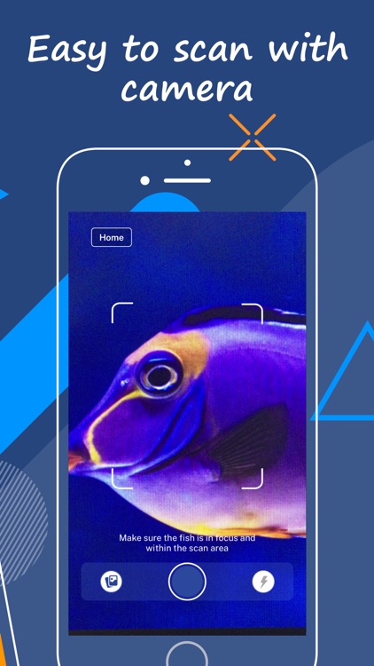 Fishsnap - Fish identifier