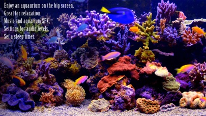 Amazing Aquariums In HD screenshot 3