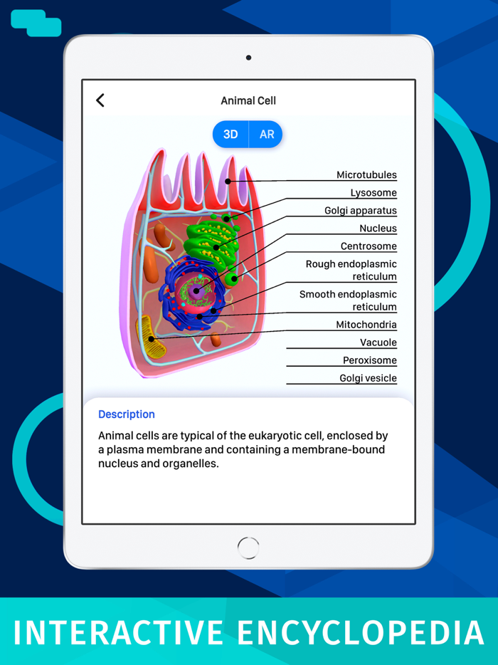Bacteria AR Zoom Cell Anatomy