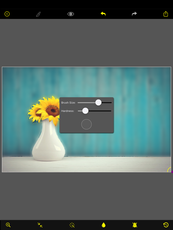 Blur photo background editor App voor iPhone, iPad en iPod touch