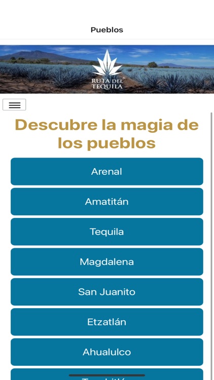 Ruta del Tequila screenshot-5