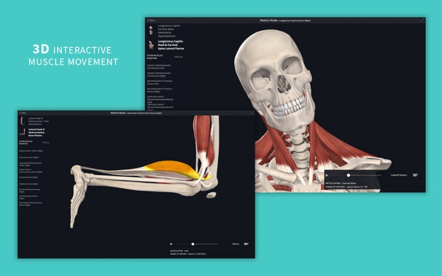 Free anatomy software for mac computers