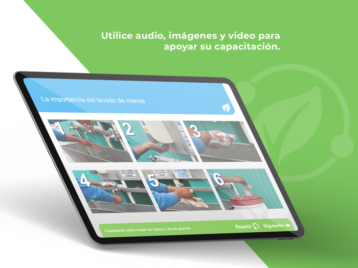 CA LGMA Handwashing Español