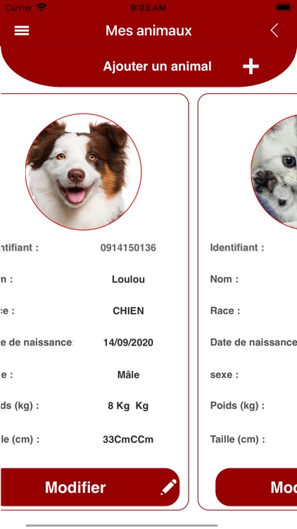 Zanilove screenshot-7