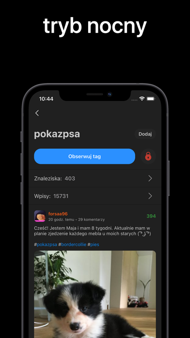 Zakop - Wykop.pl browser screenshot 3