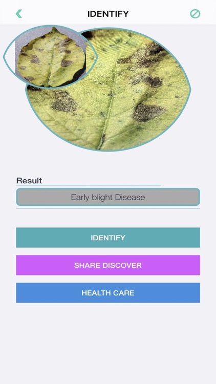 Plants Diseases Identifier screenshot-5