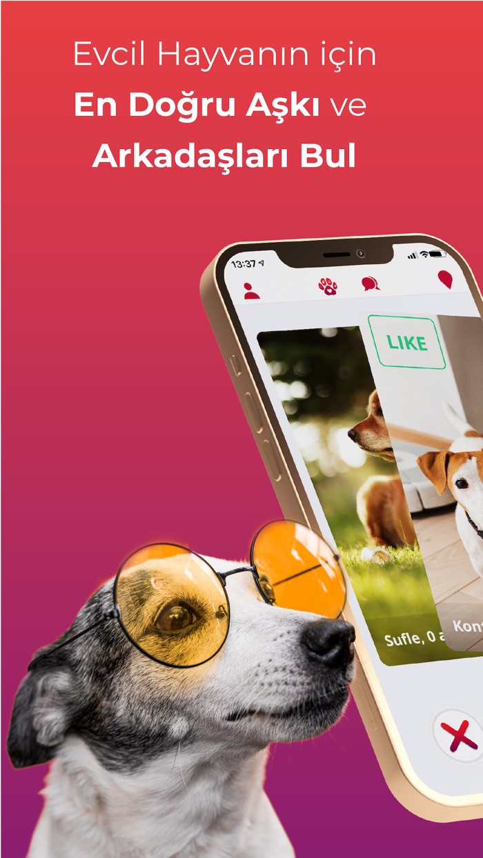 Pet Mate Date  Meet for Pets