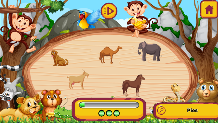 Młody Geniusz VIP - Edukacja