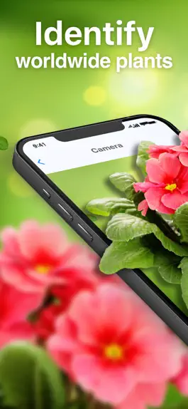 Game screenshot Leafsnap plant identification mod apk