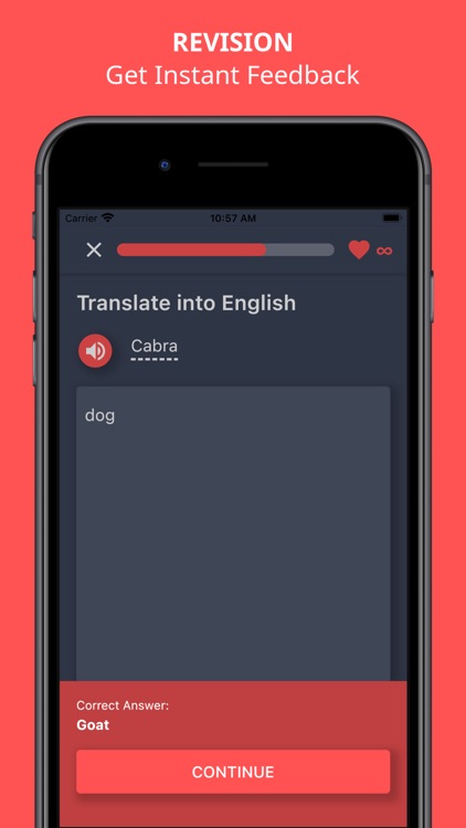 Languages Revolution screenshot-4