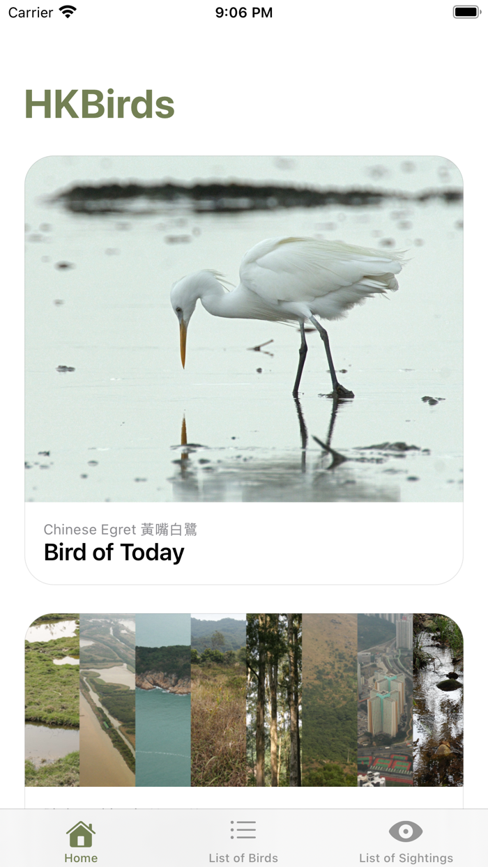 HKBirds Birds of Hong Kong