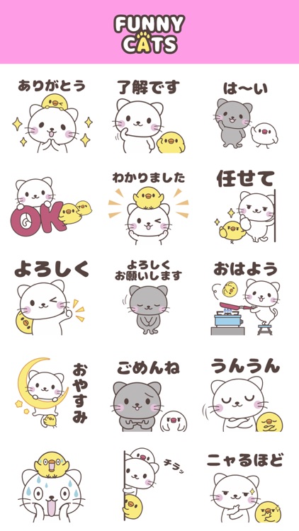 FUNNY CATS【 1 】