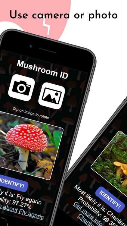 Mushroom identifier - photo ID