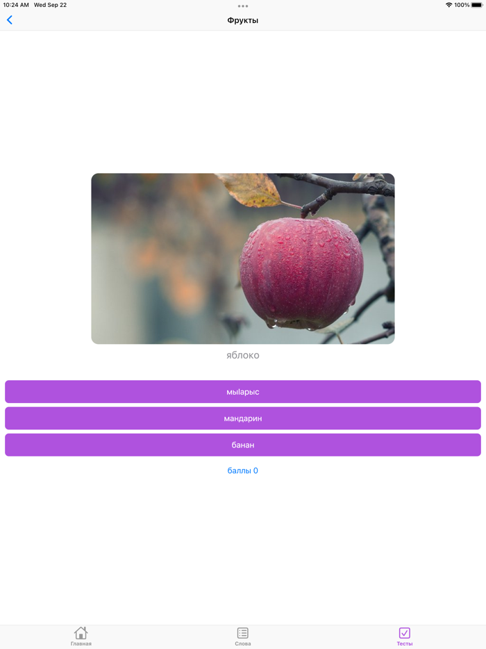 Словарик по темиргоевскому