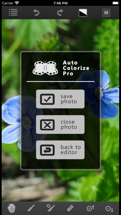 Auto Colorize Pro Screenshots