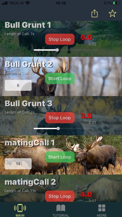 Moose Calls for Hunters screenshot-5