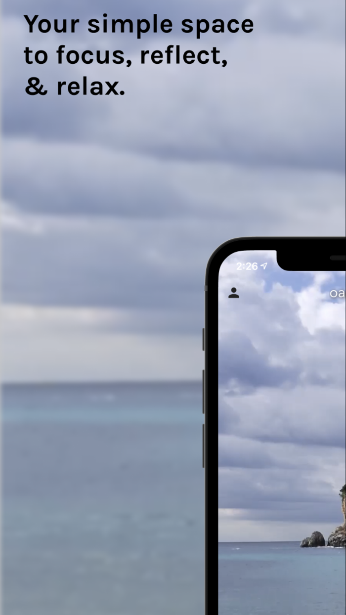 Oasis Focus, Relax, Meditate