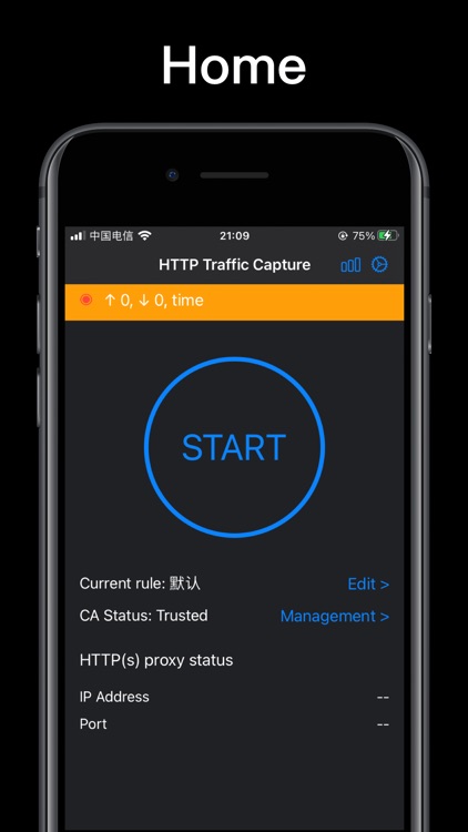 Http traffic capture