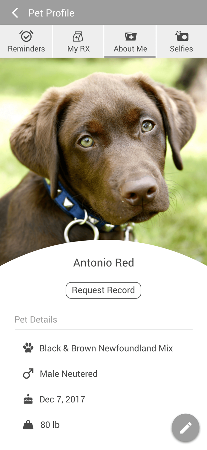 Springwood Vet Hospital