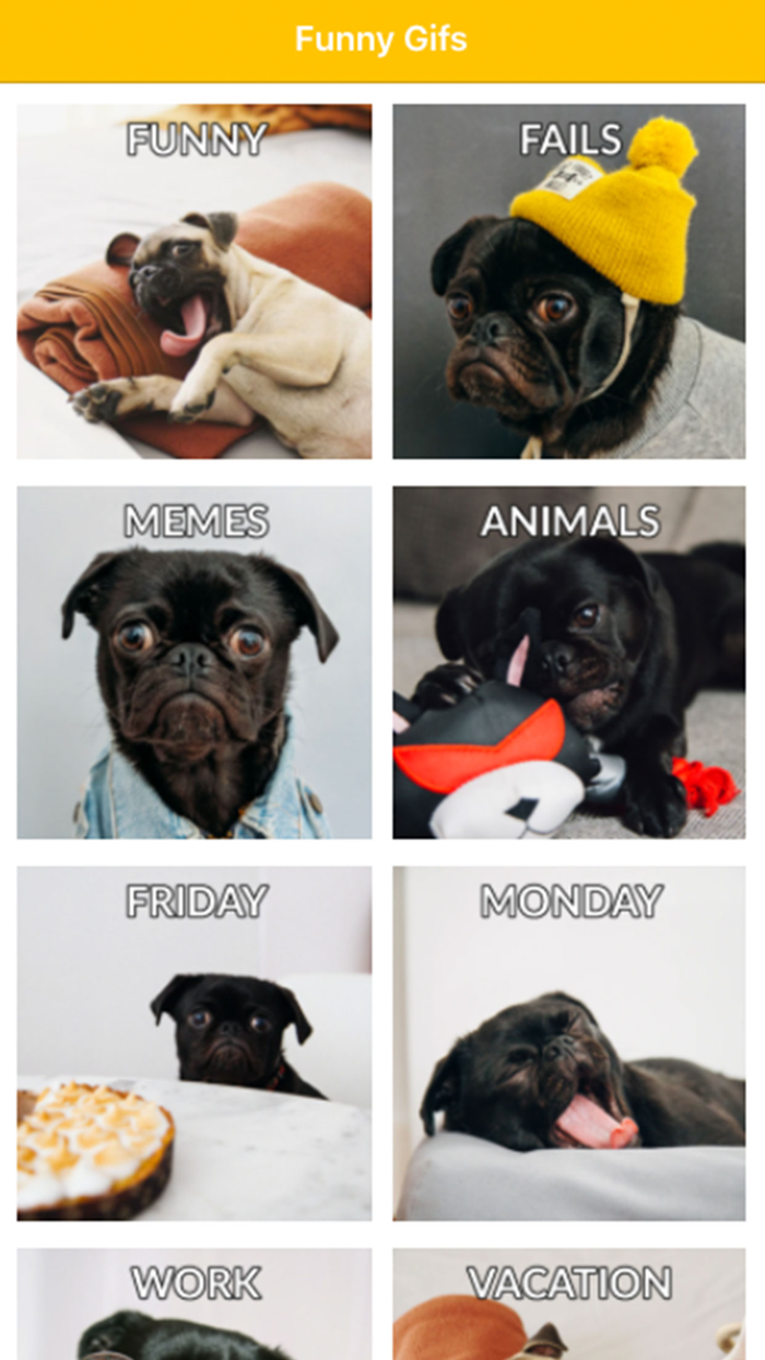 Funny Gifs For Messages