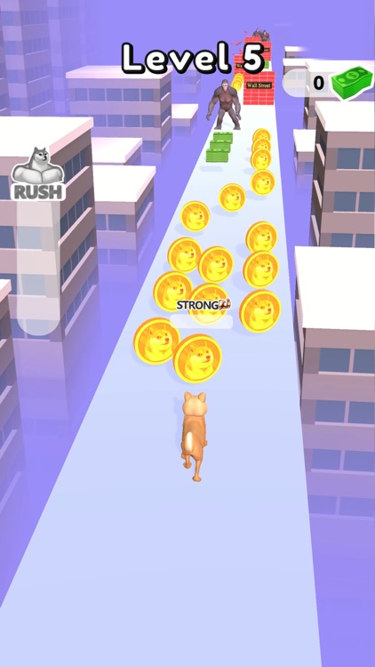 Doge Coin Runner