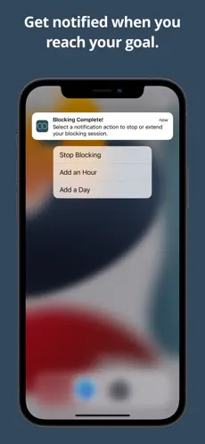 Screenshot 4 Liberate - Website Blocker iphone
