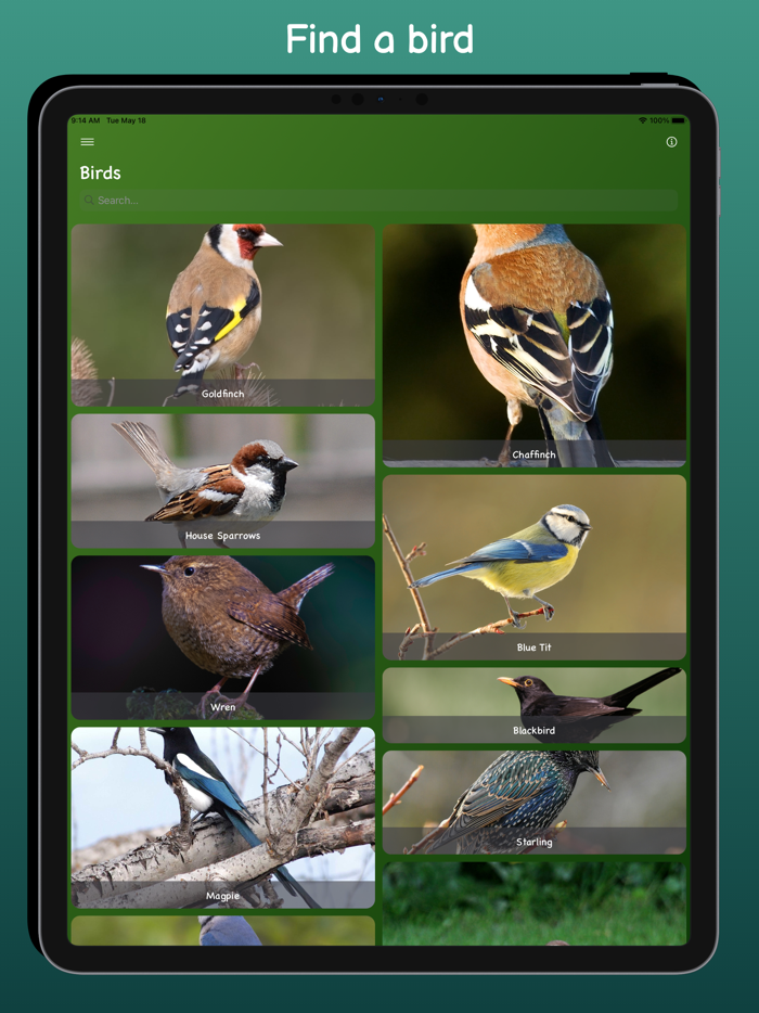 Bird Sounds - Pure Nature