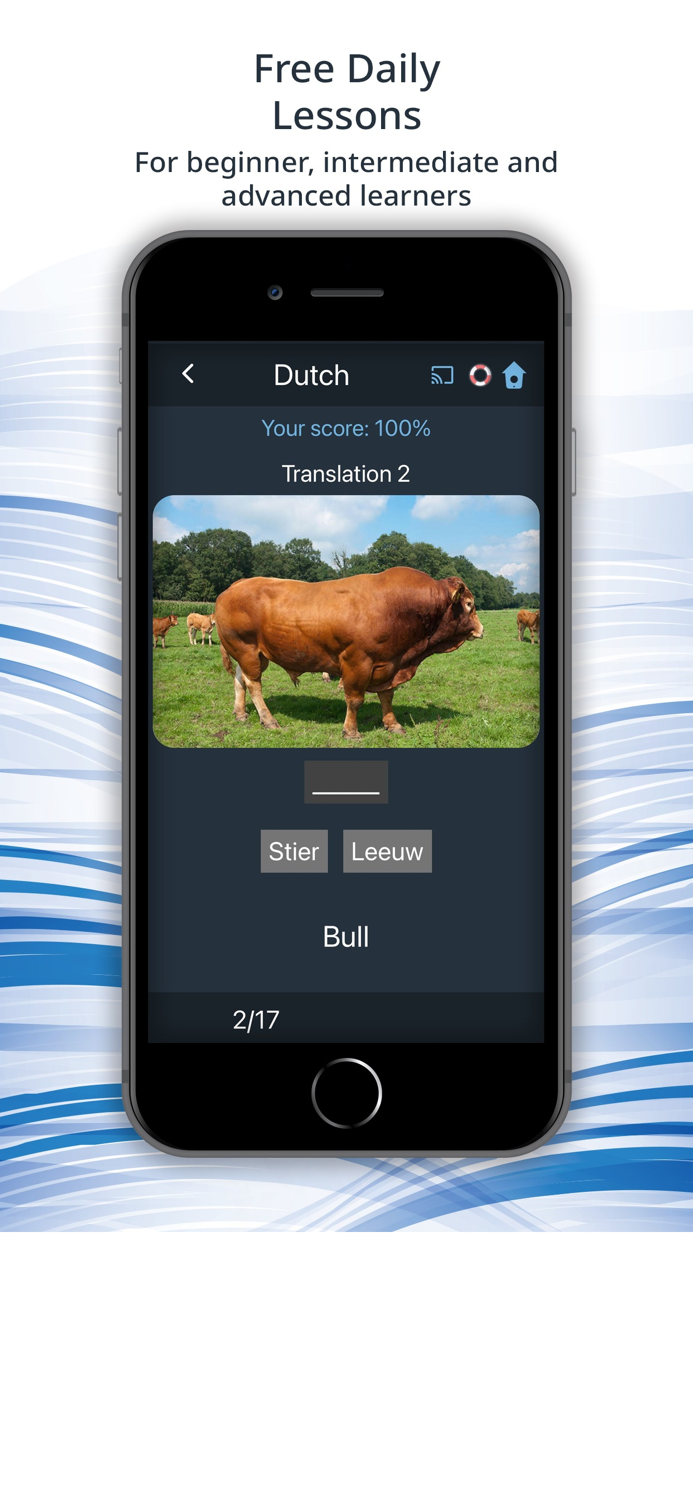 Bluebird Learn Dutch