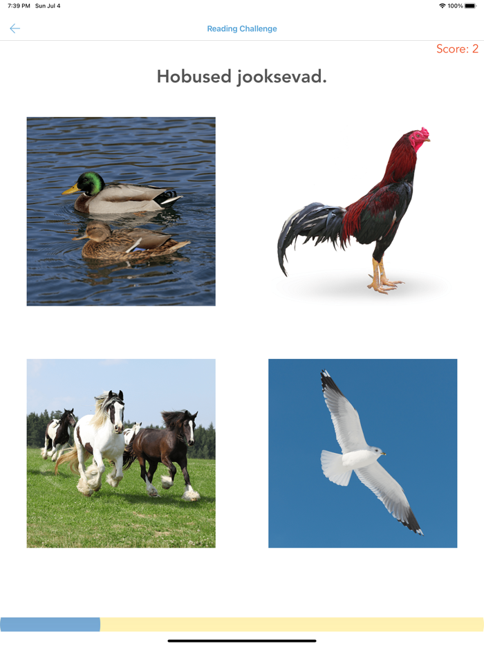 Estonian for Beginners  Kids