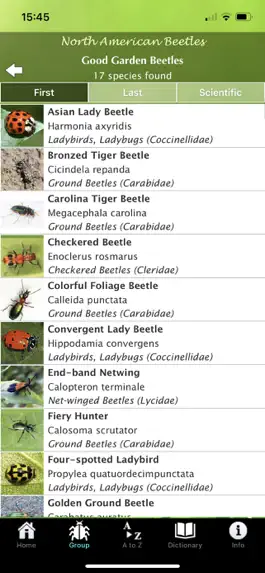 Game screenshot North American Beetles hack