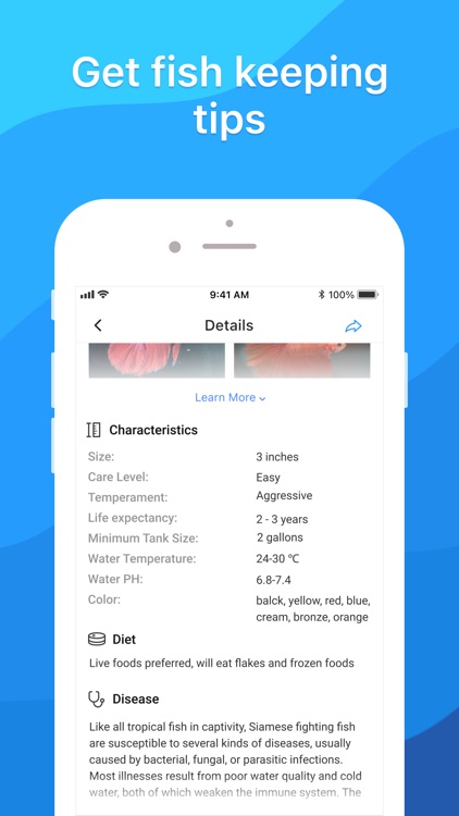Picture Fish - Fish Identifier