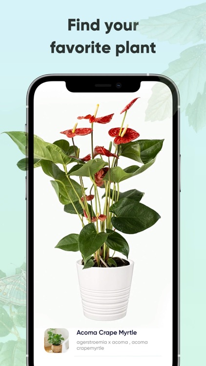 Plant identification · screenshot-6