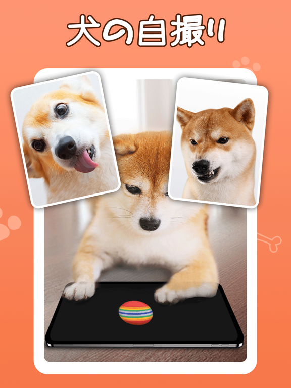 犬鳴き声と犬語翻訳アプリのおすすめ画像3