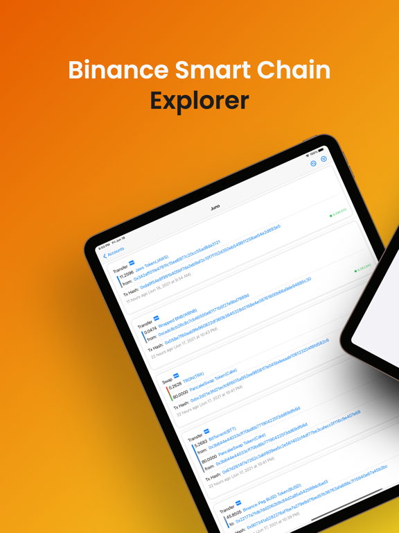 Binance Smart Chain Explorer Binance Smart Chain Explorer