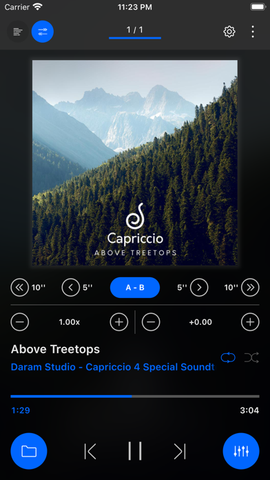 Capriccio - Ultimate Music Player Screenshot 3