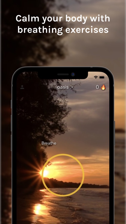 Oasis: Focus, Relax, Meditate screenshot-3